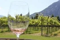 Robin Ridge Winery
