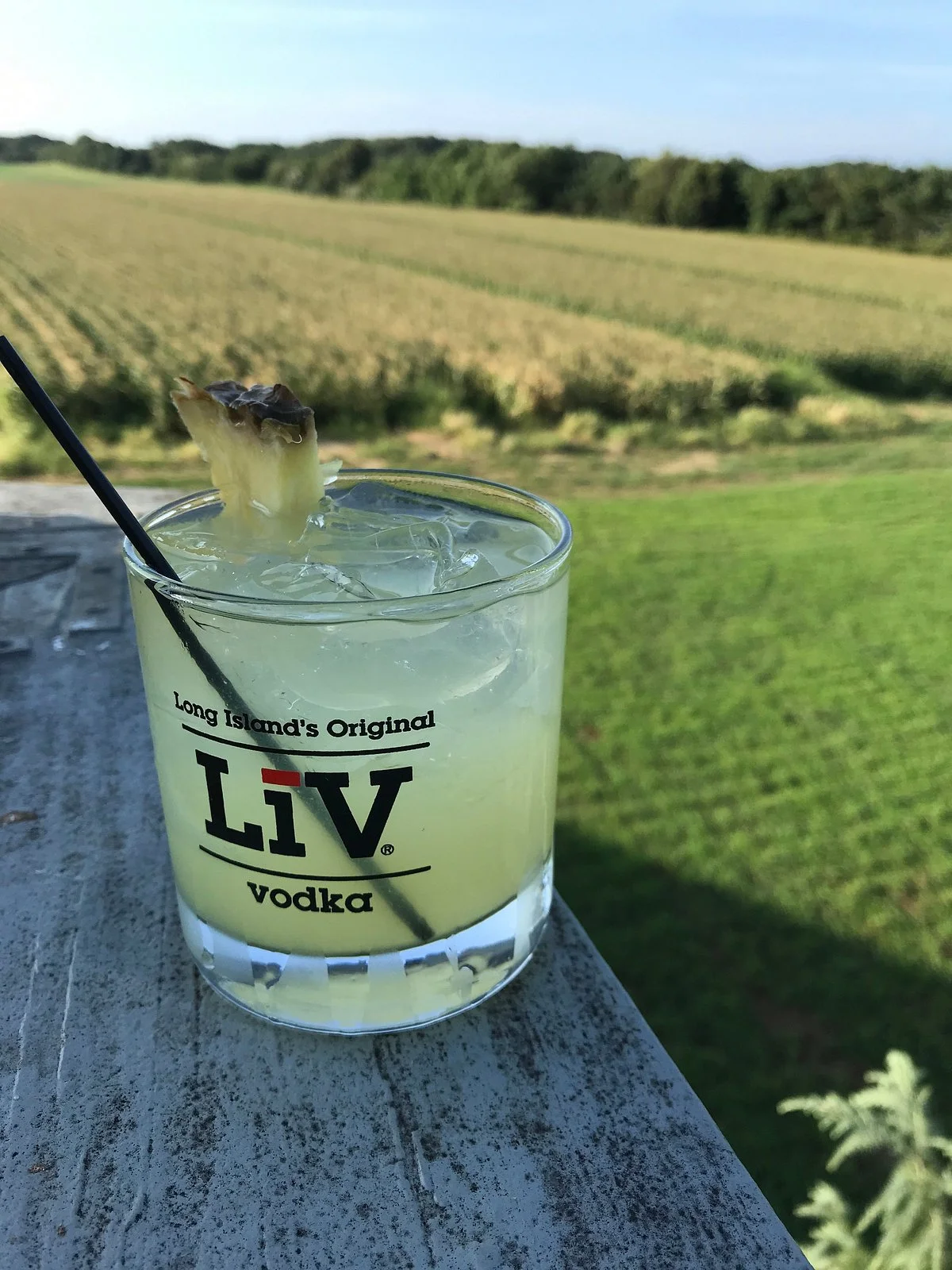 Long Island Spirits