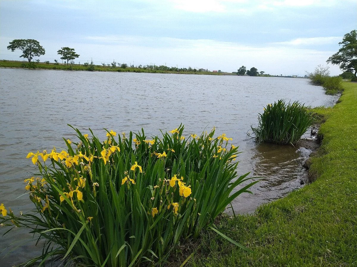 Lake Shinotsu