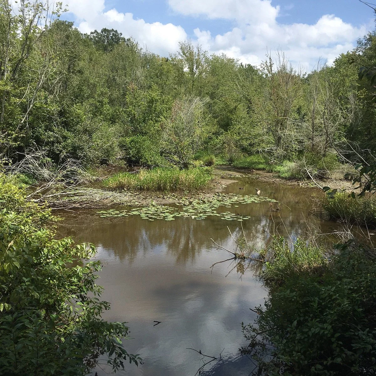 Magnolia Springs Park