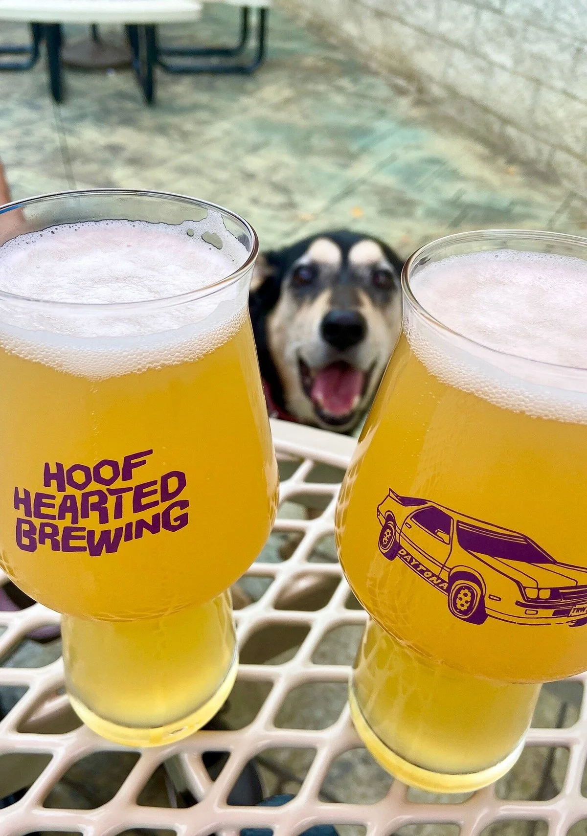 Hoof Hearted Brewing