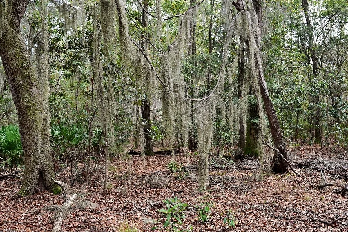 Victoria Bluff Heritage Preserve