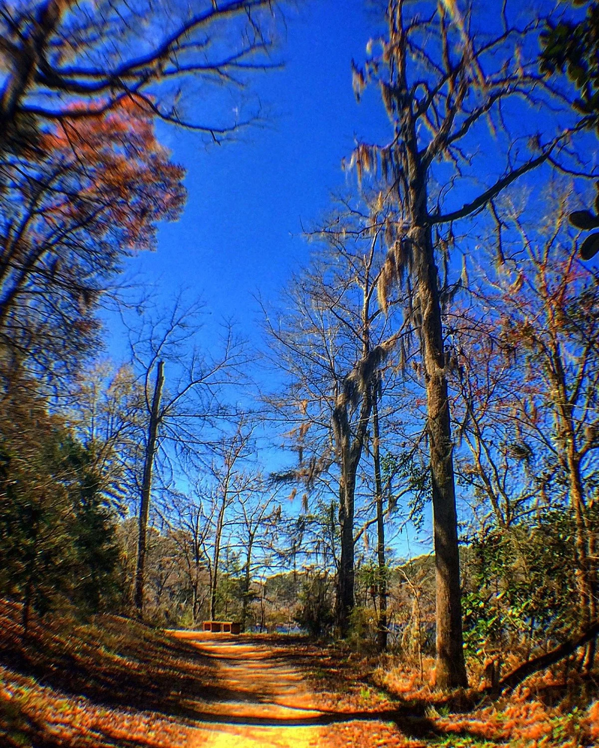 Ed Lisenby Lake