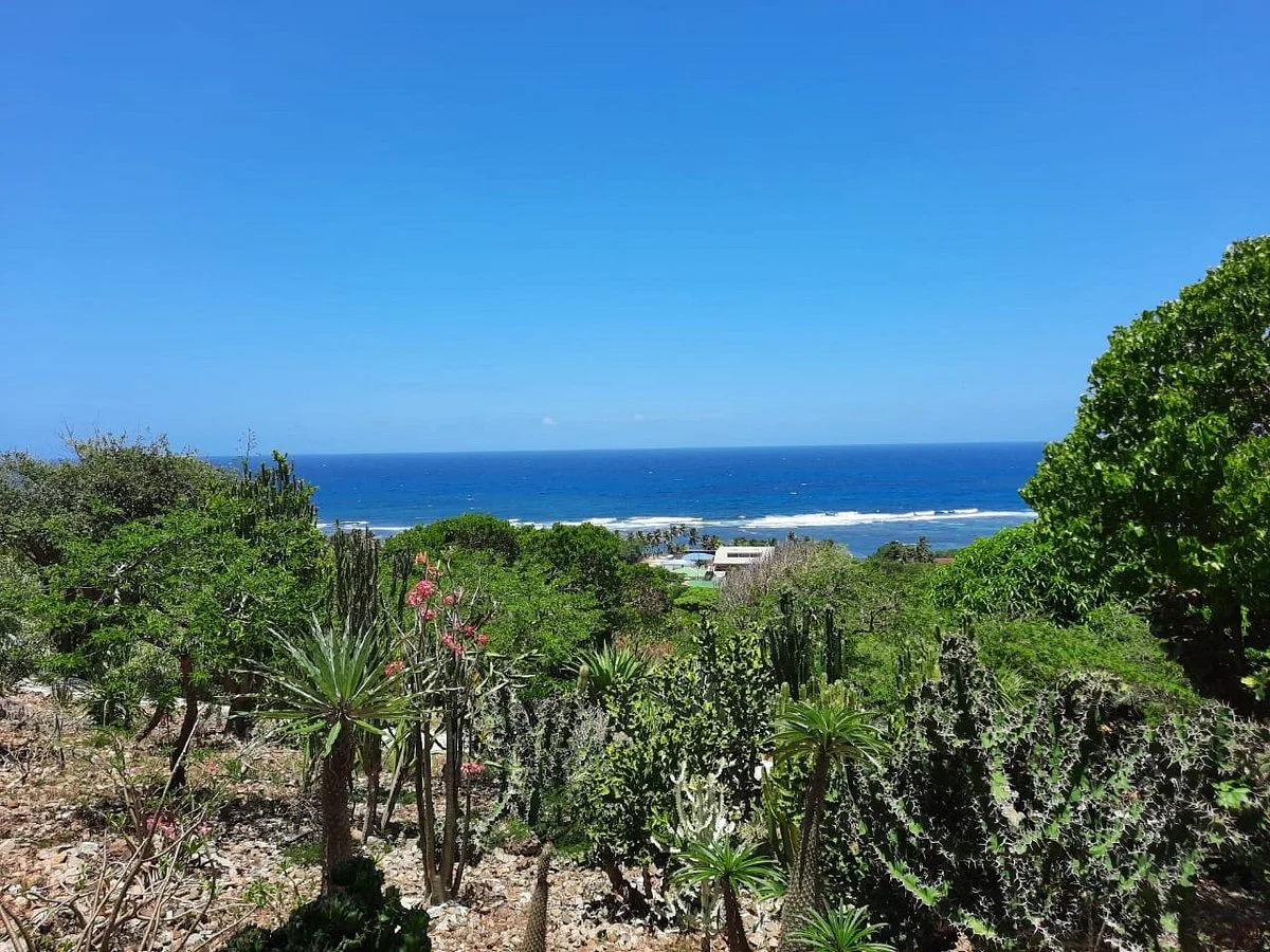 Jardin Botanique du Desert