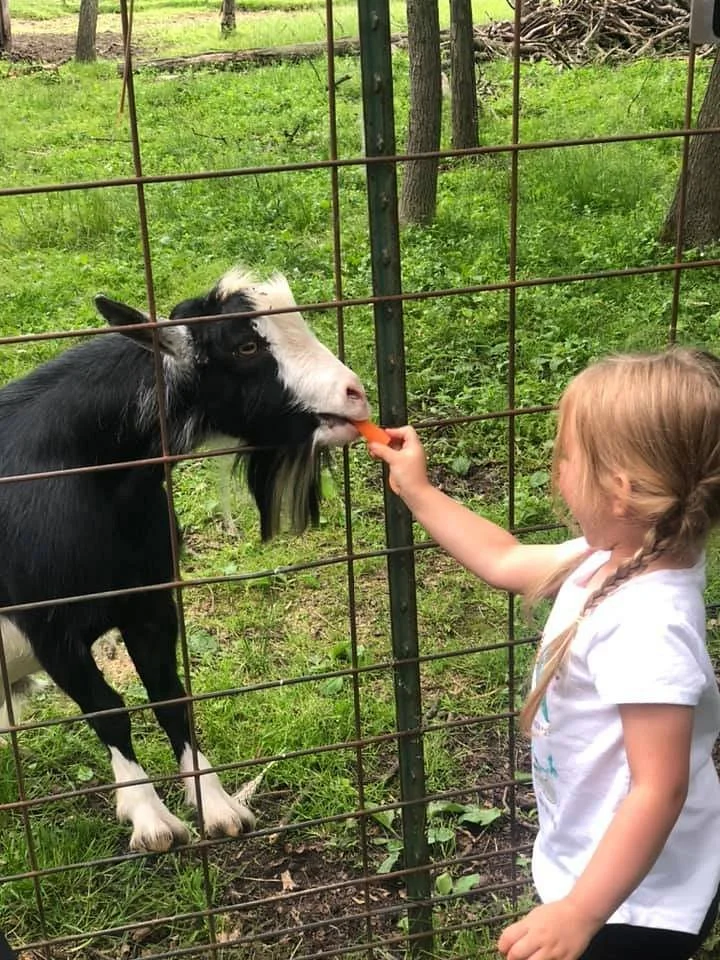 Animal Haven Zoo