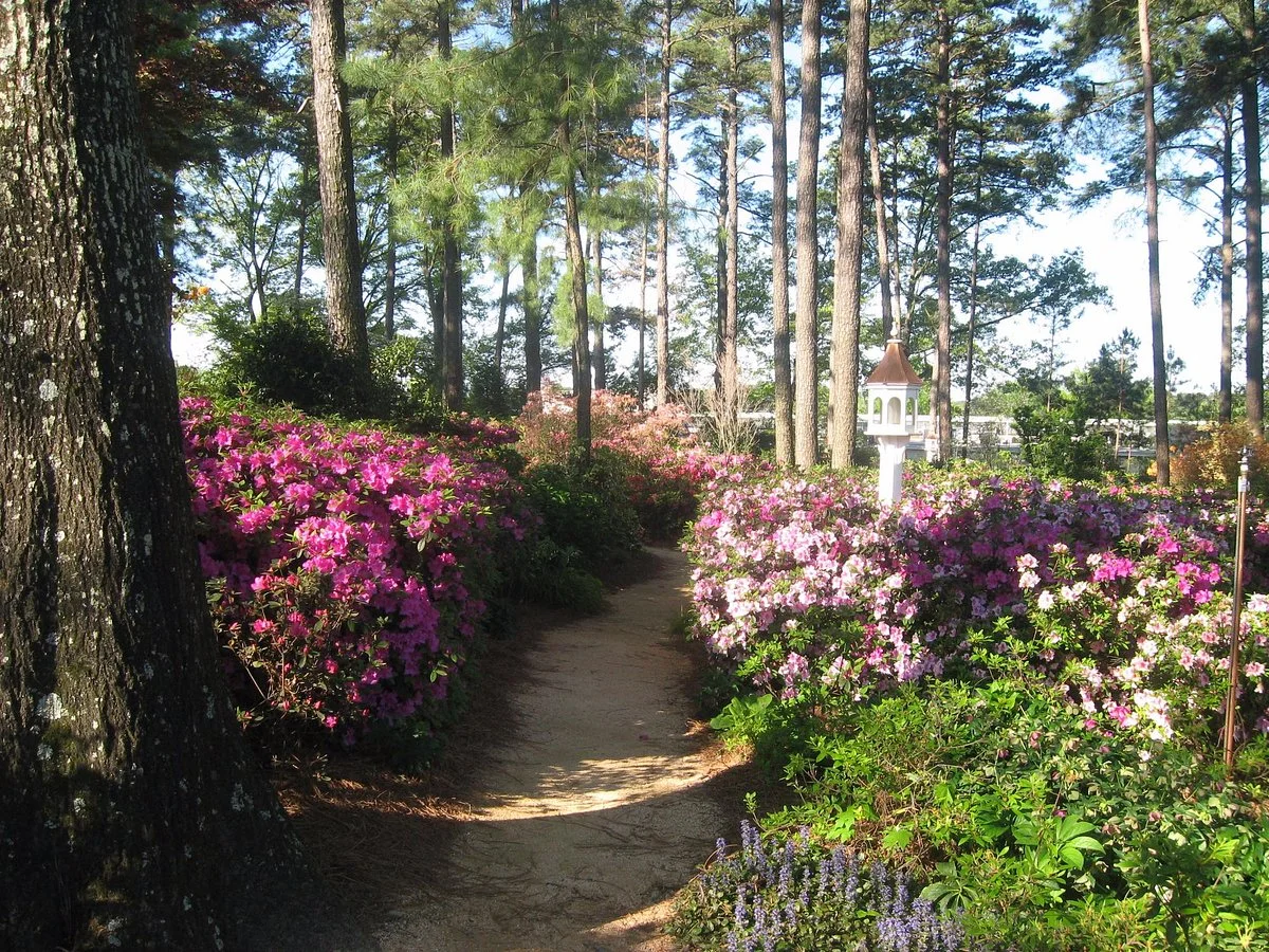 WRAL Azalea Garden