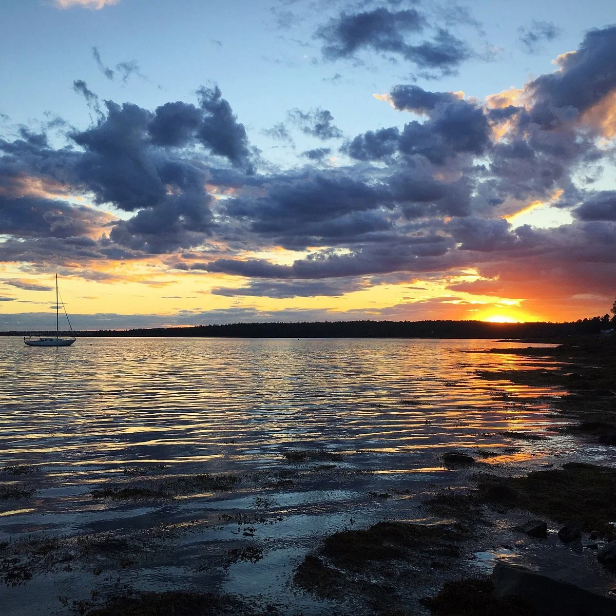 Lamoine State Park