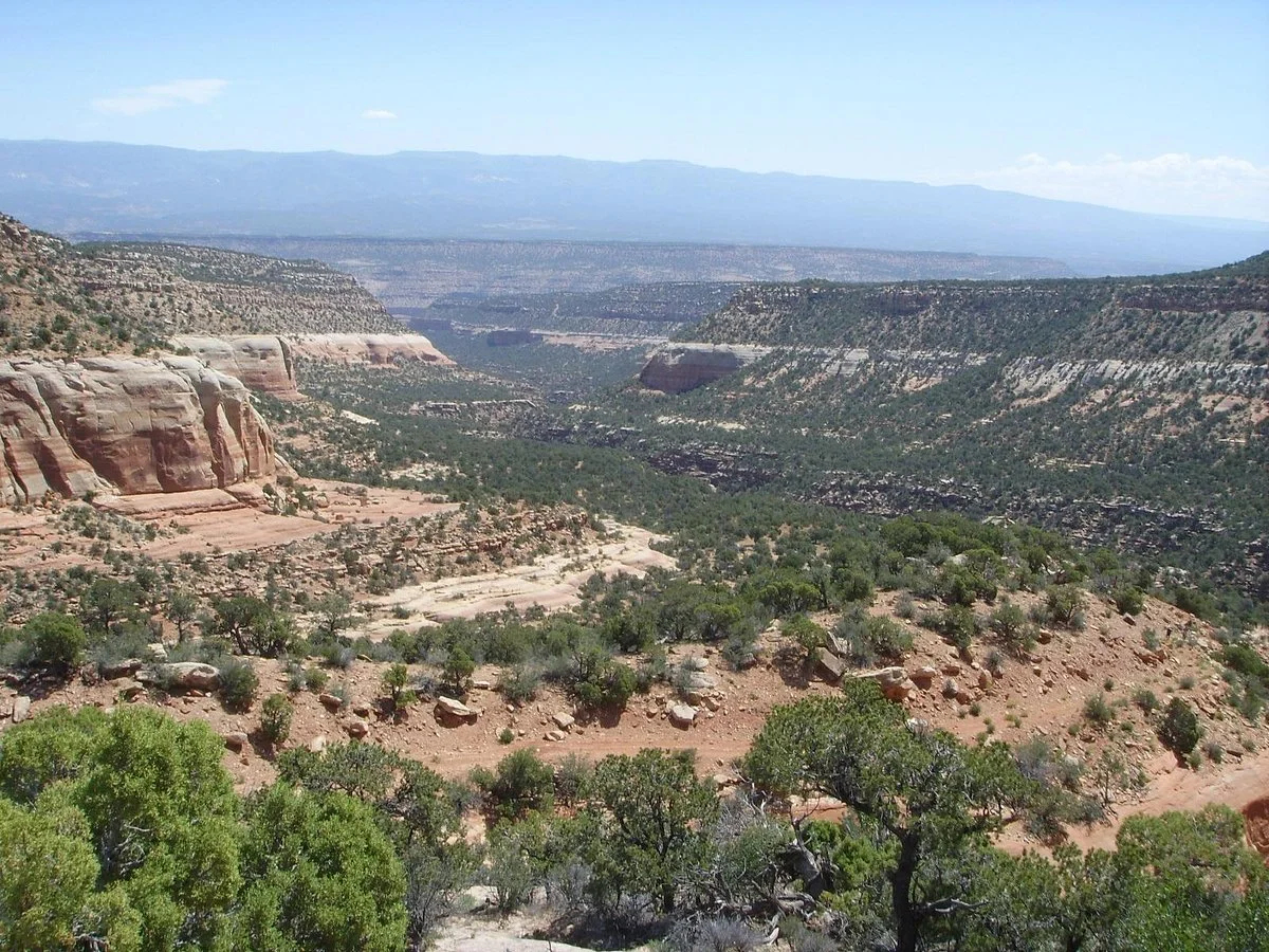 Paradox Trail