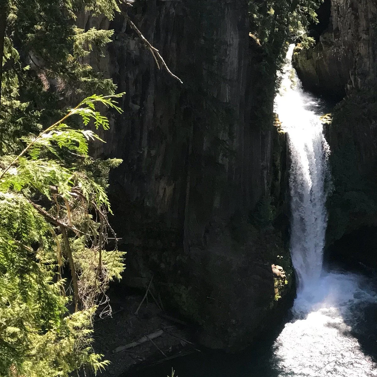 Umpqua National Forest