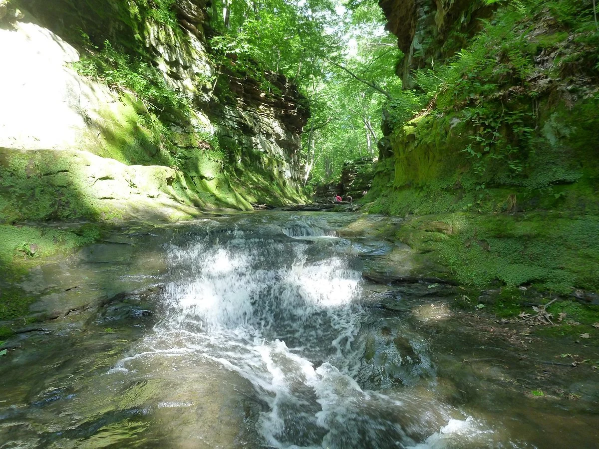 Pewit's Nest Gorge