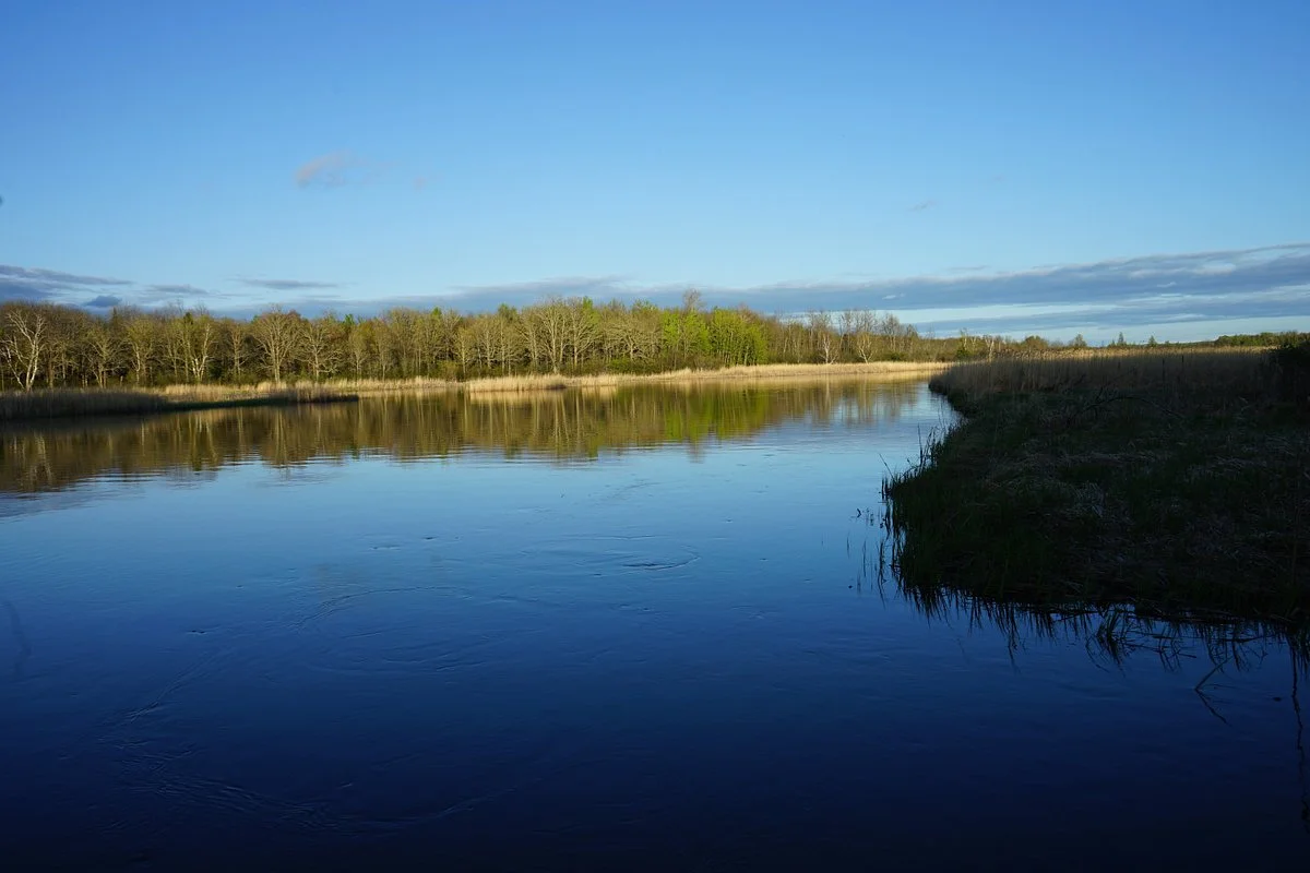Schoolcraft State Park