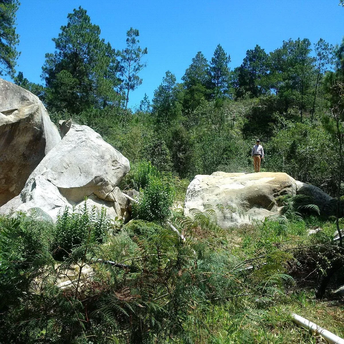 Piedra Letrada