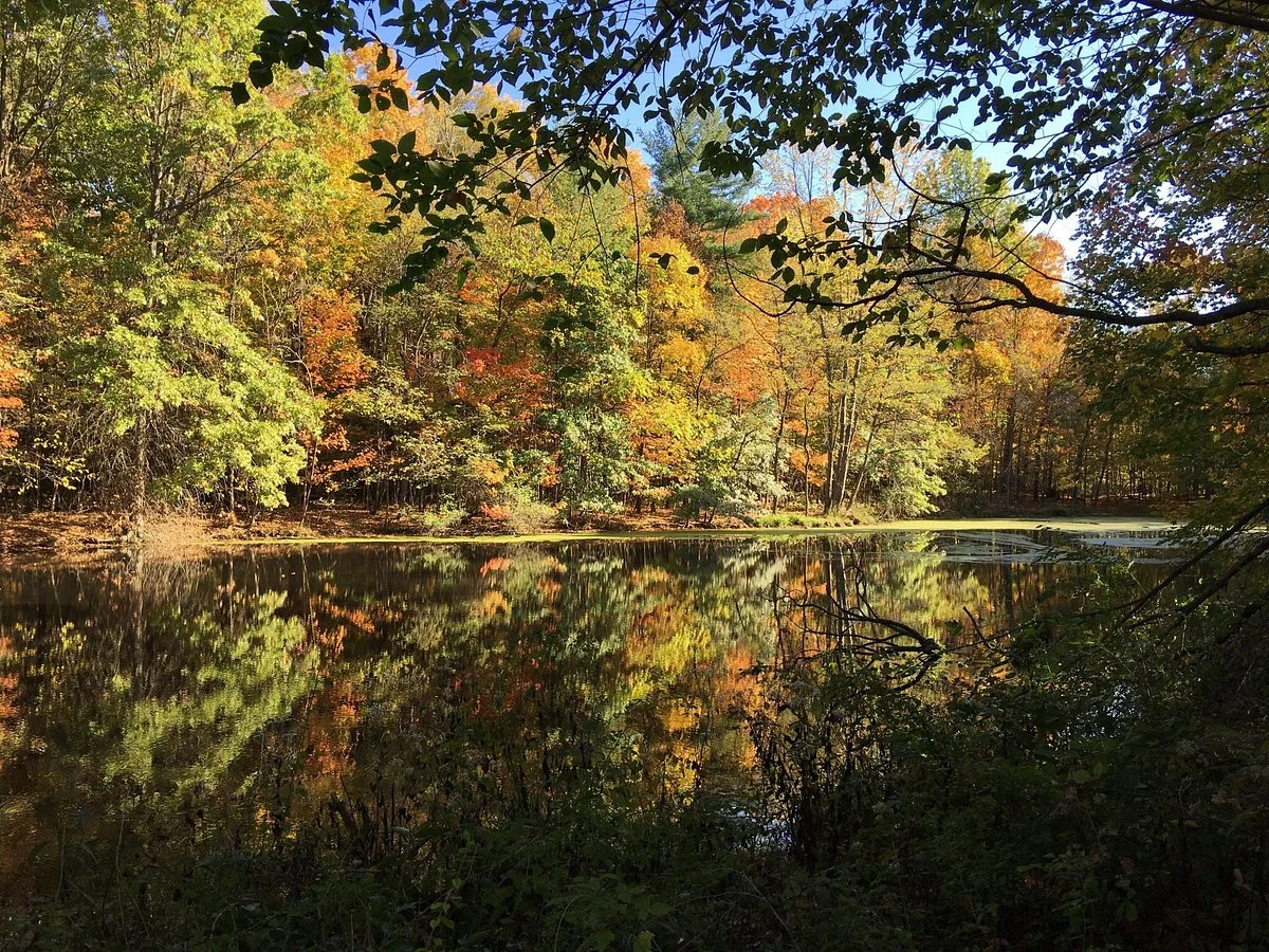 Char-Mar Ridge Preserve