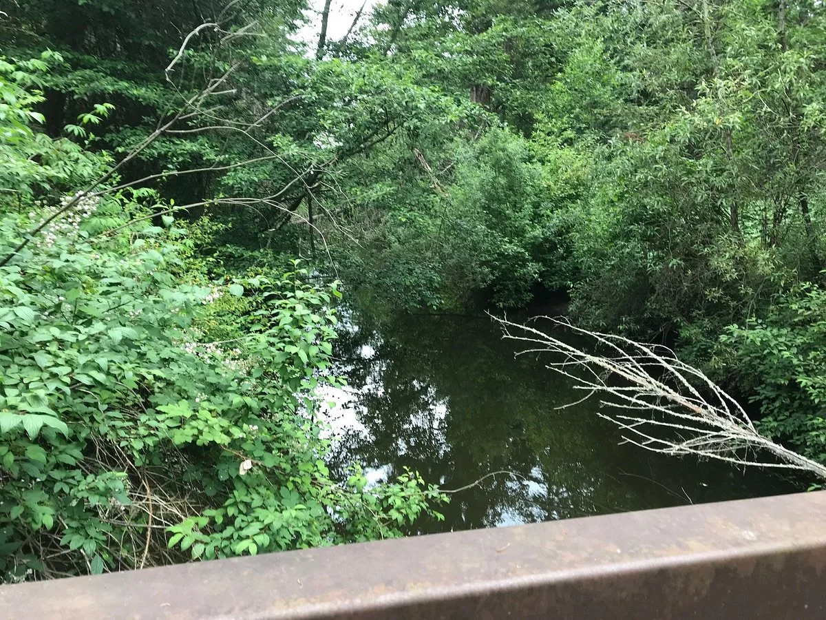 Lake Sammamish Issaquah Creek Trail