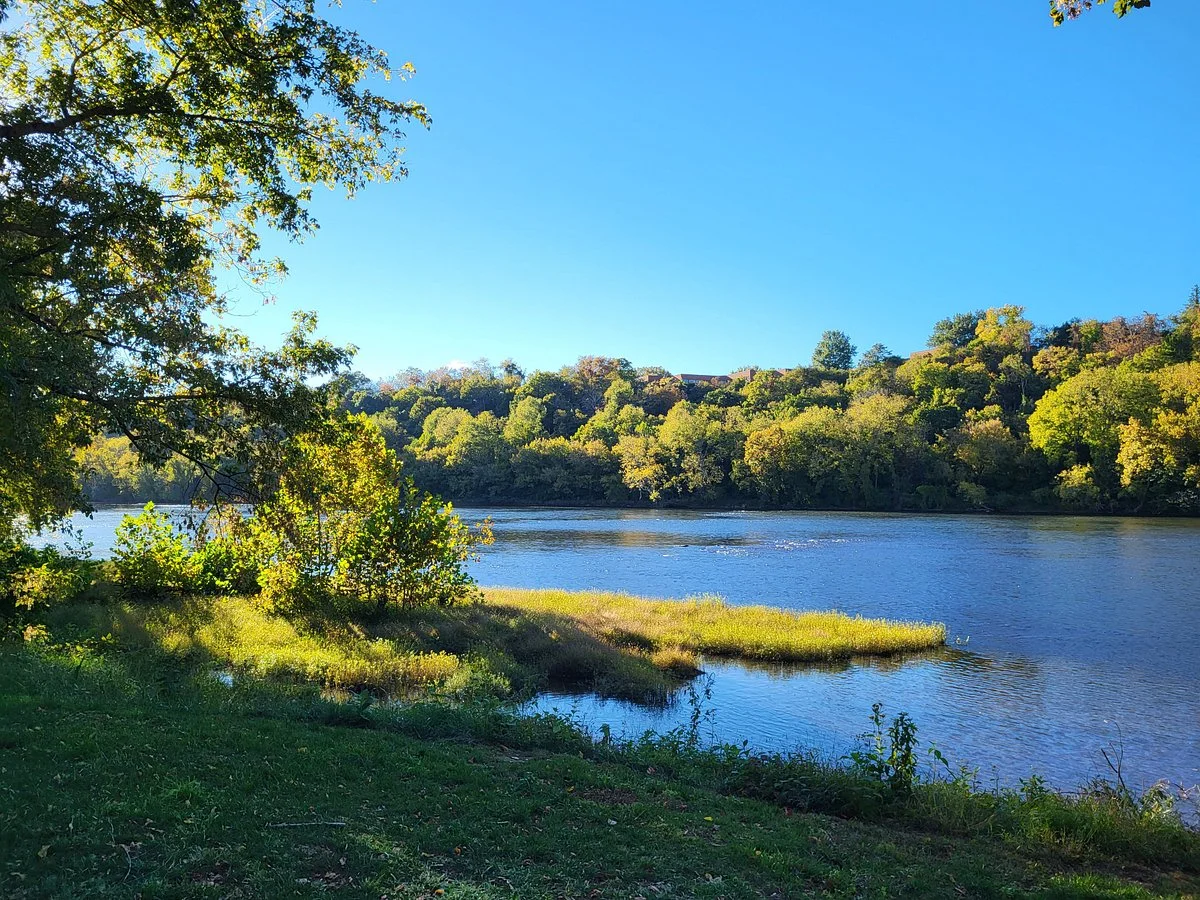 Bisset Park