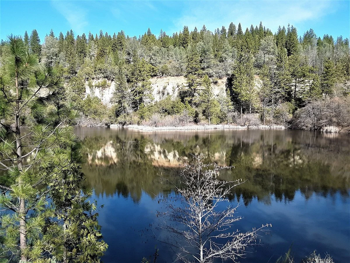 Hirschman's Pond Trail
