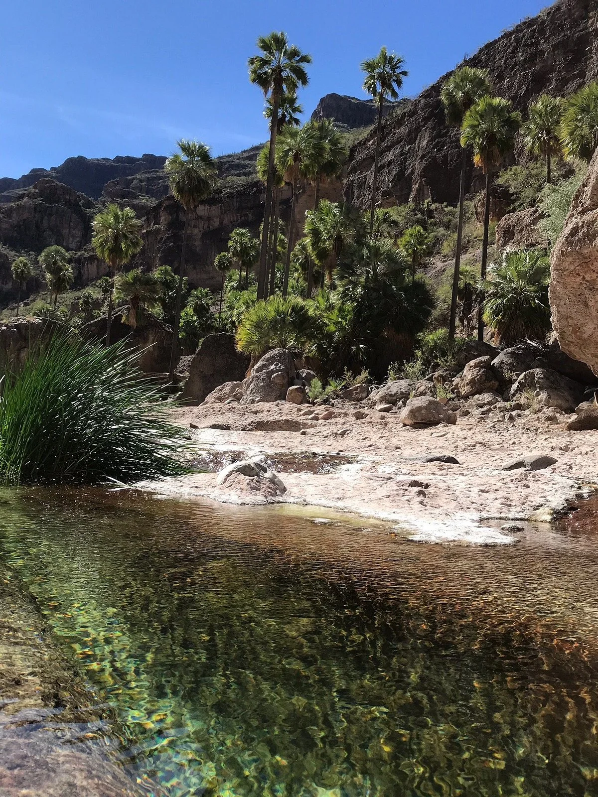 Sierra de San Francisco