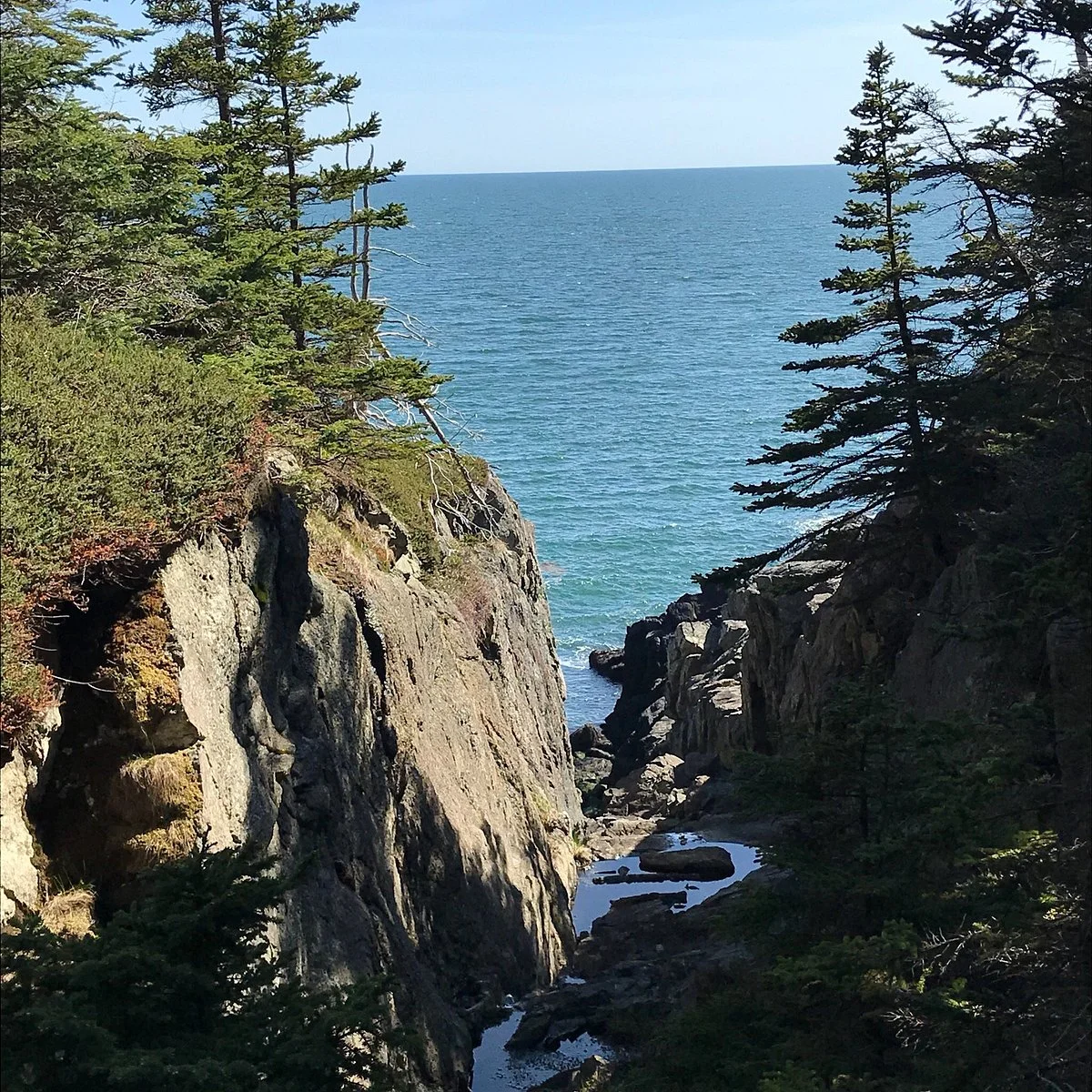 Western Head Preserve Cutler Maine