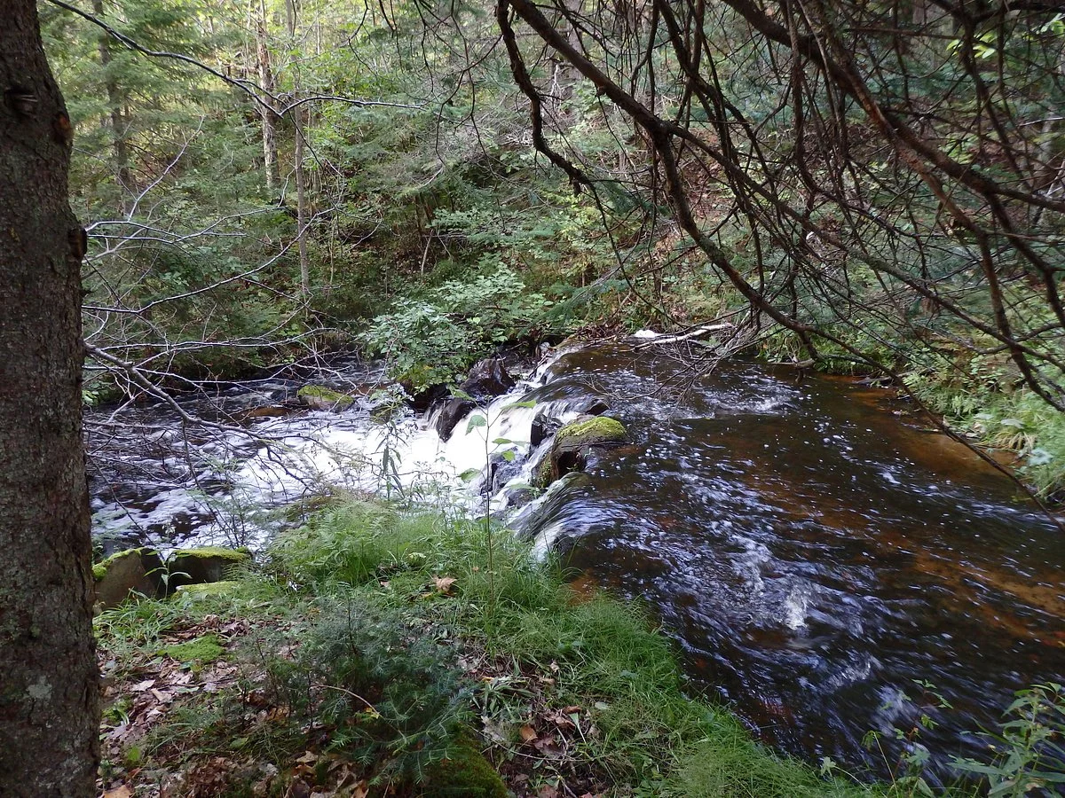Swedetown Ski Trails
