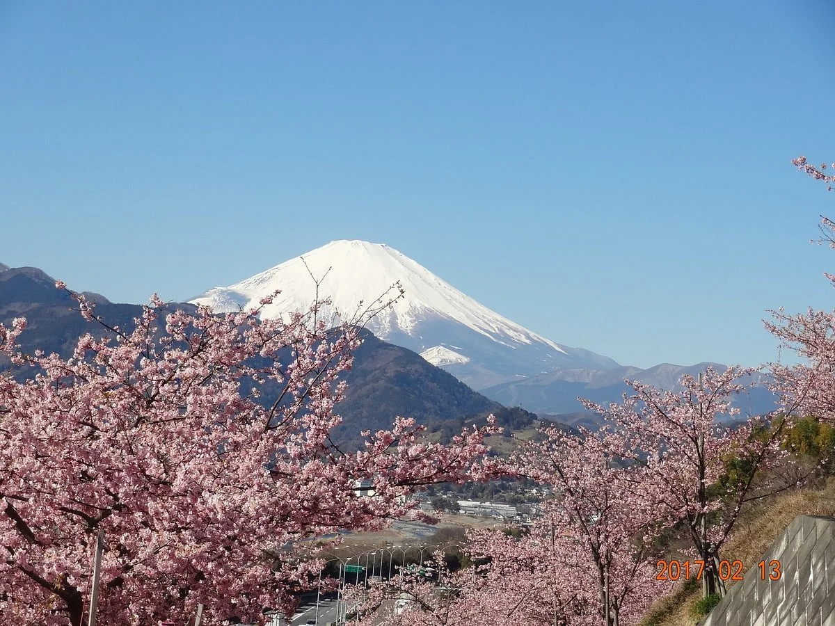 Matsuda Herb Garden