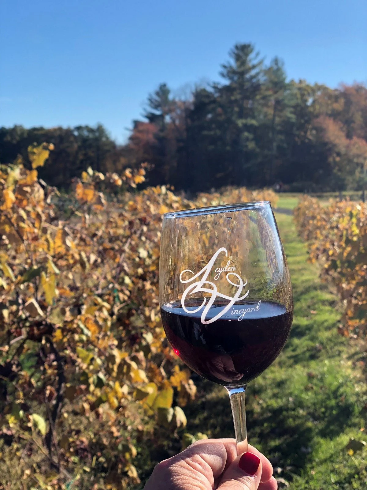 Leyden Farm Vineyard and Winery