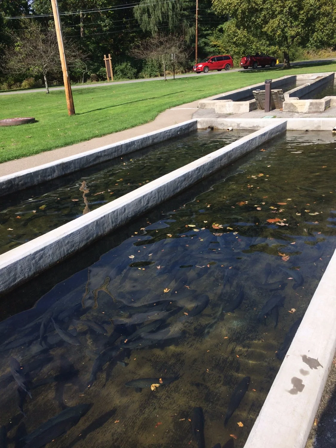 Powder Mills Park