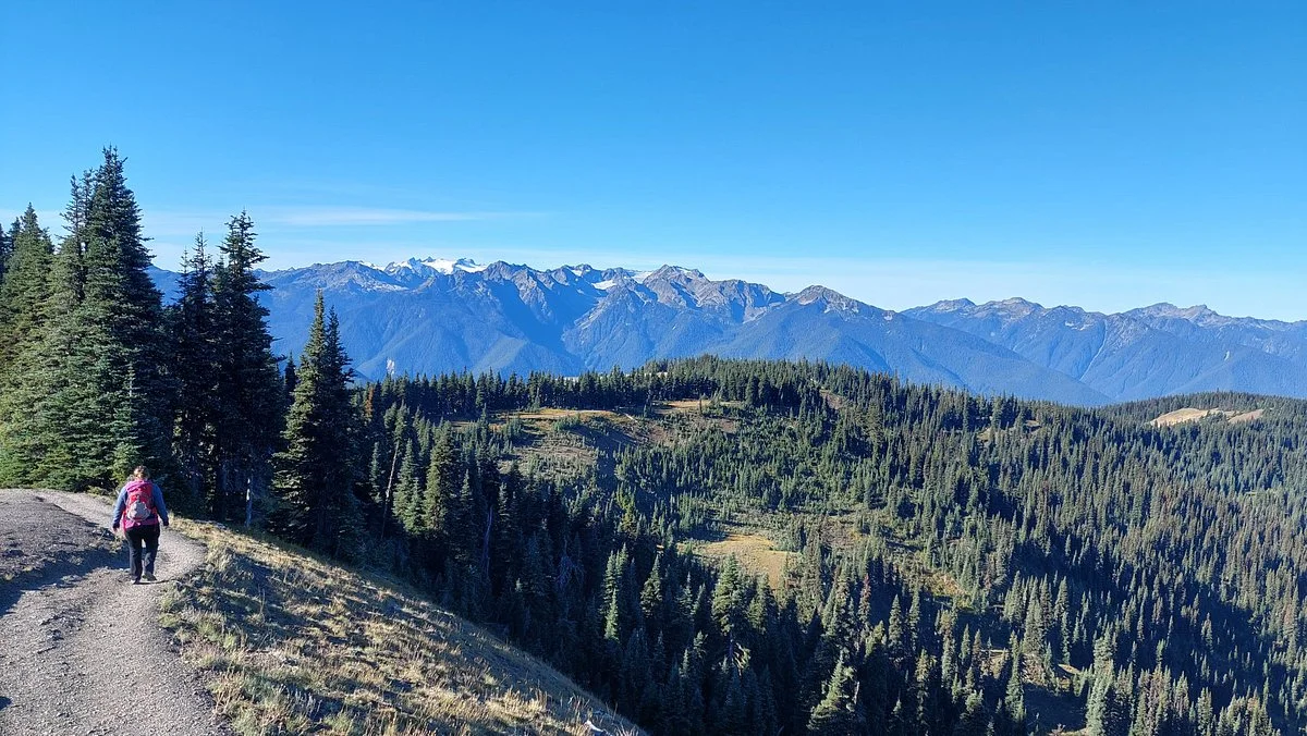 Cirque Rim Trail