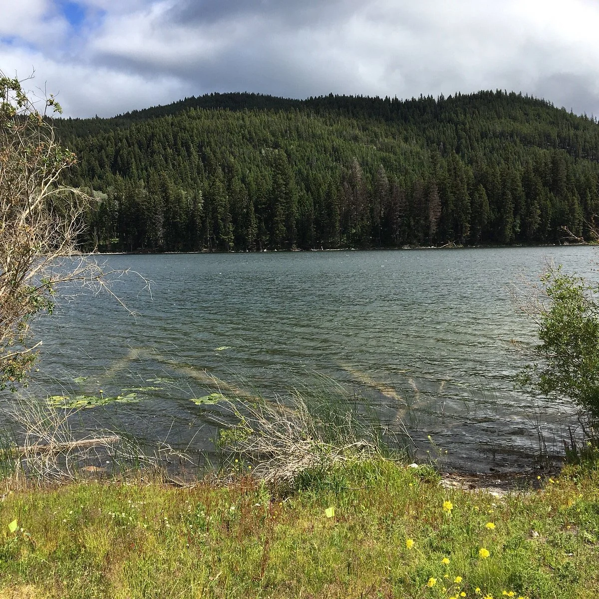Harmon Lake