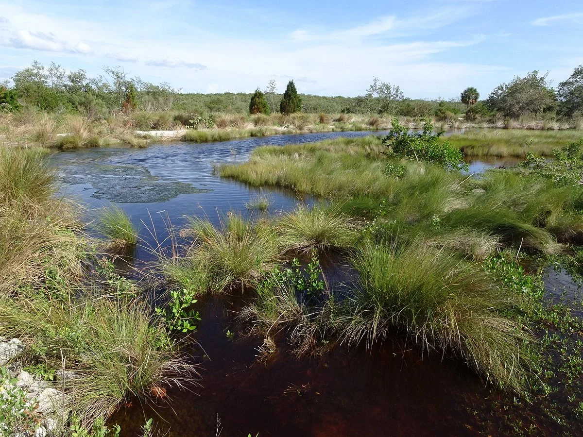 Neal Preserve