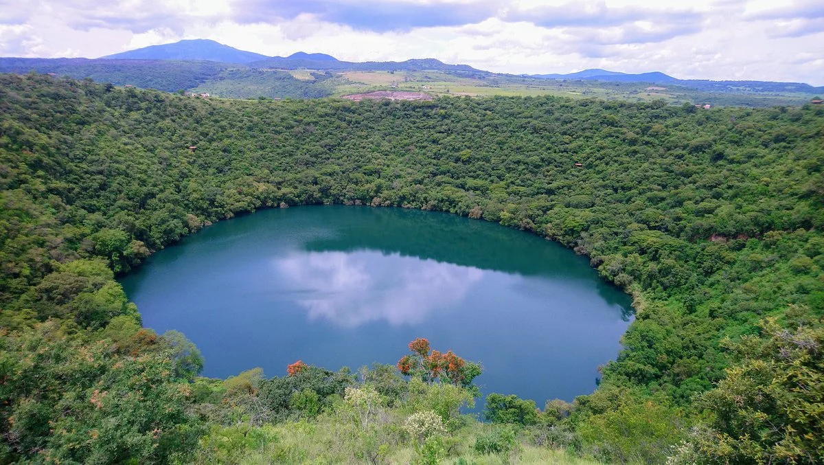 Alberca los Espinos