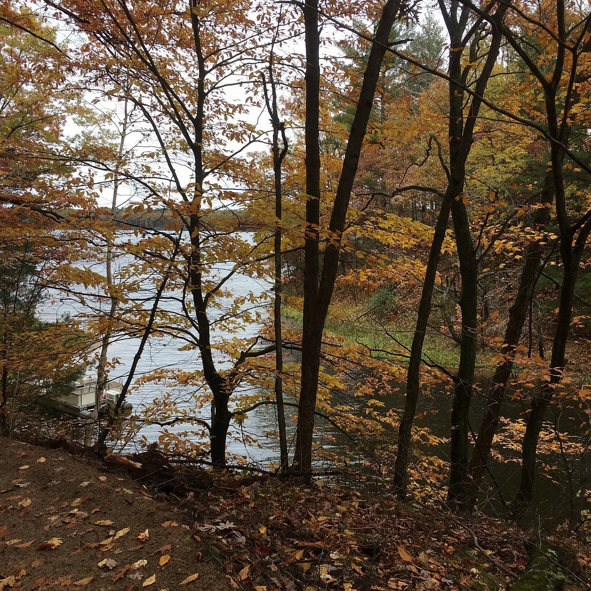 Newaygo State Park