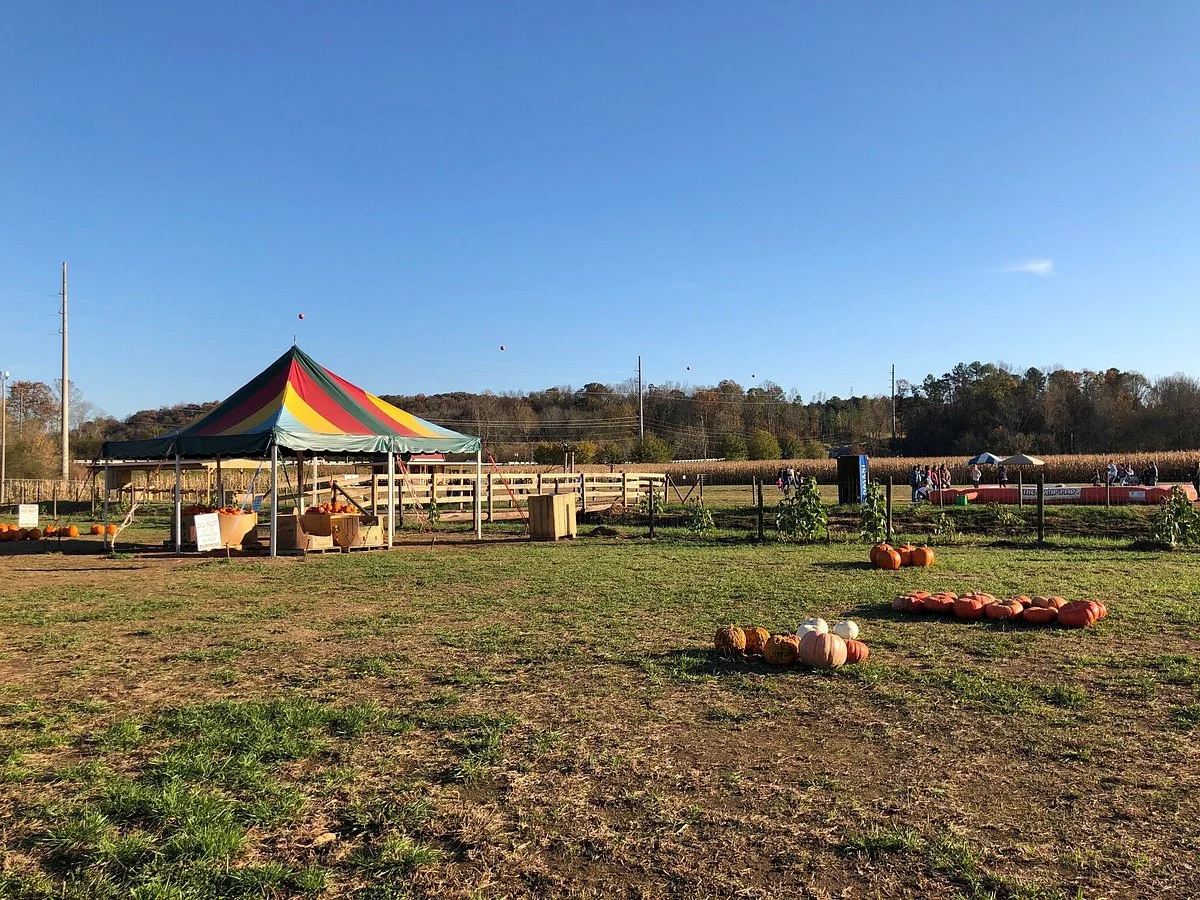 Uncle Shucks Corn Maze and Pumpkin Patch