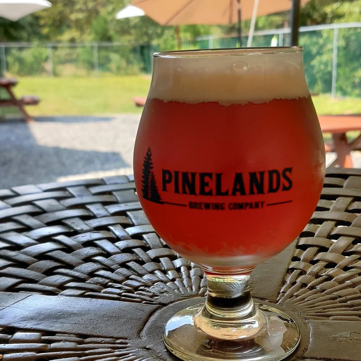 Pinelands Brewing Company