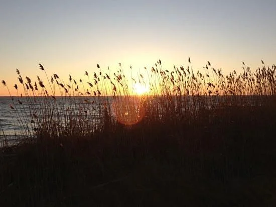 St. George Island