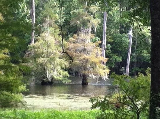 Claiborne West Park