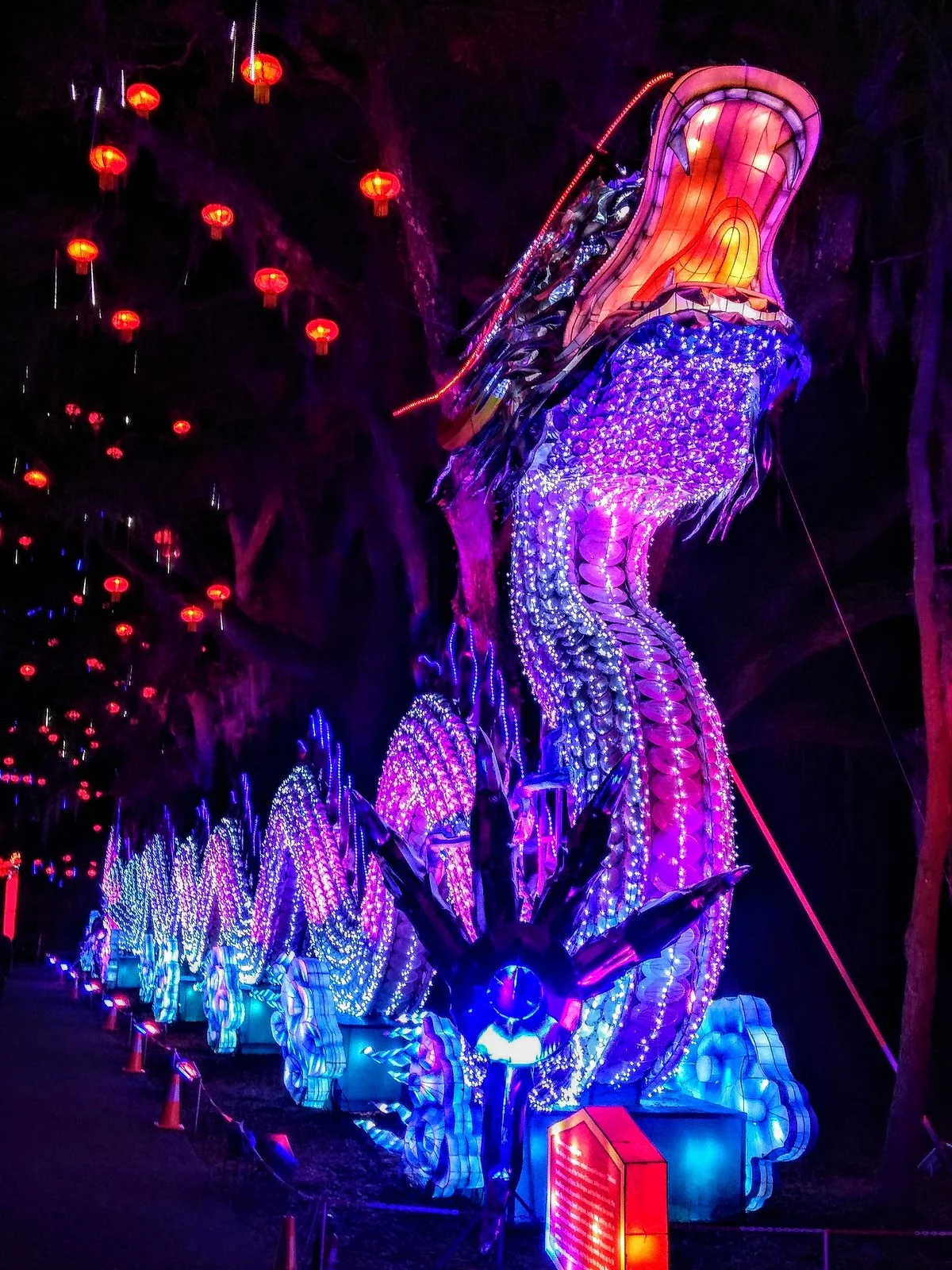 Lights Of Magnolia