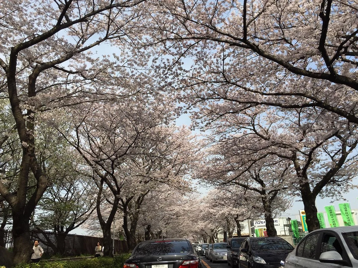 Yabashira Cemetary