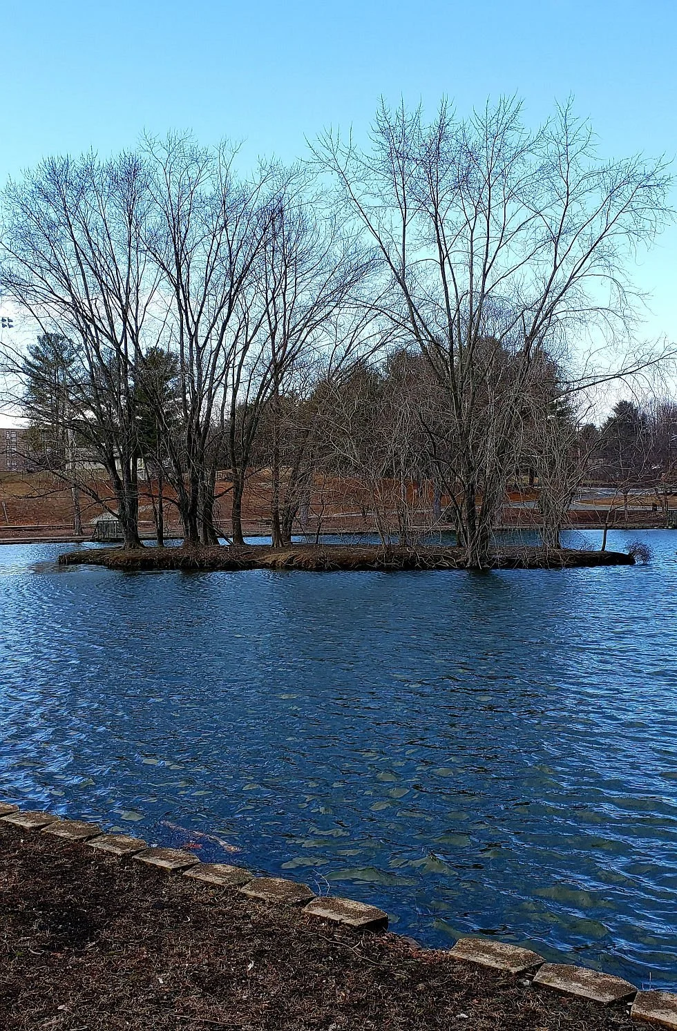 Bynum Run Park