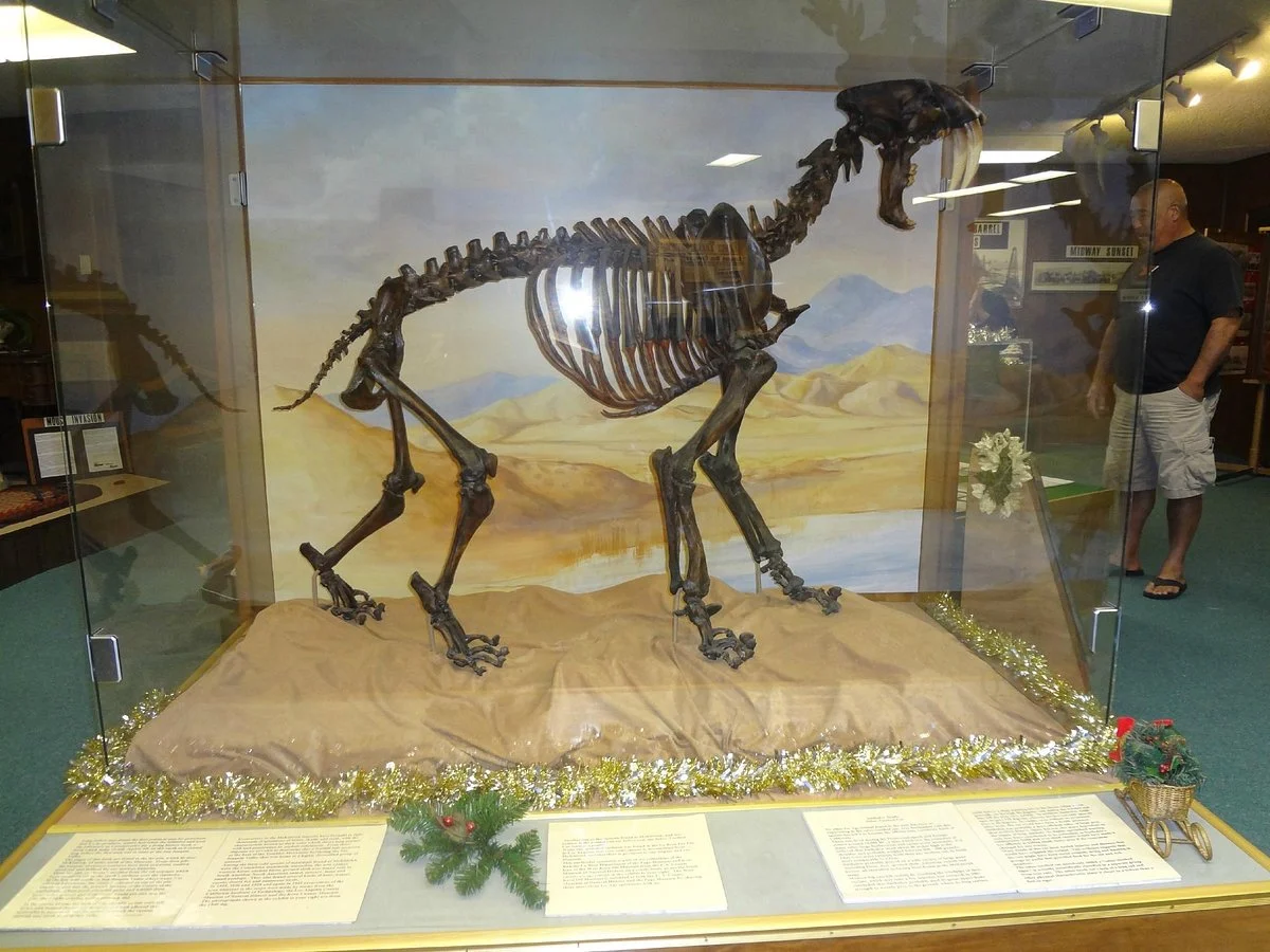 West kern oil museum