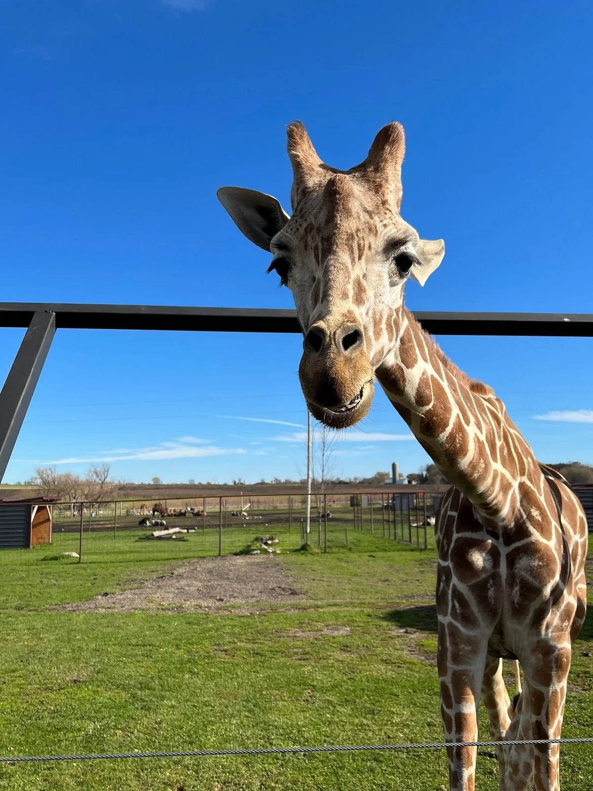 Hemker Park and Zoo