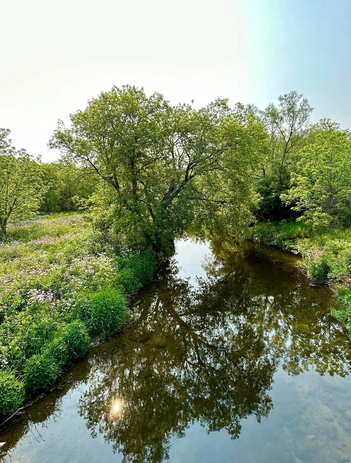 Medway Valley Heritage Forest