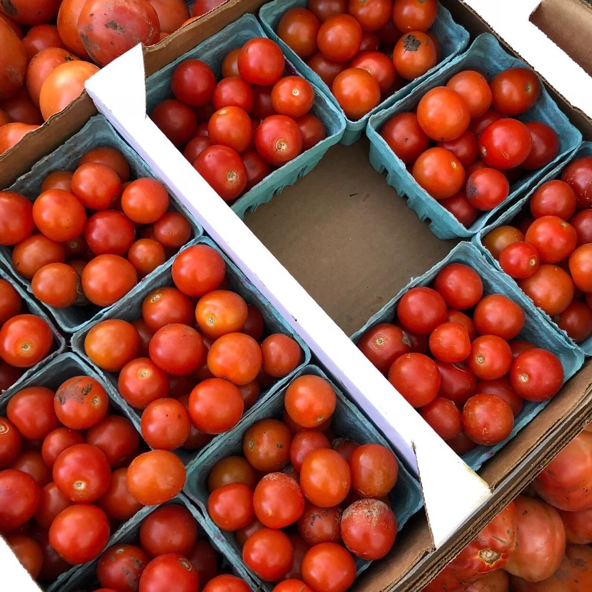 Dutton Berry Farm