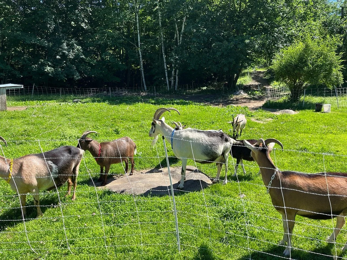 Ten Apple Farm