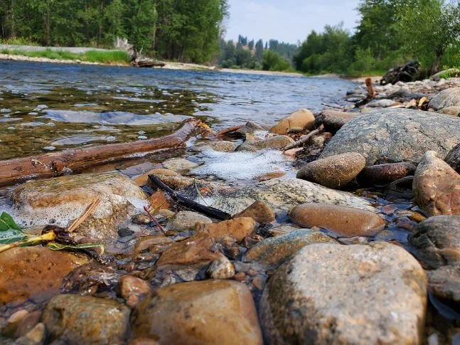 Bitterroot National Forest