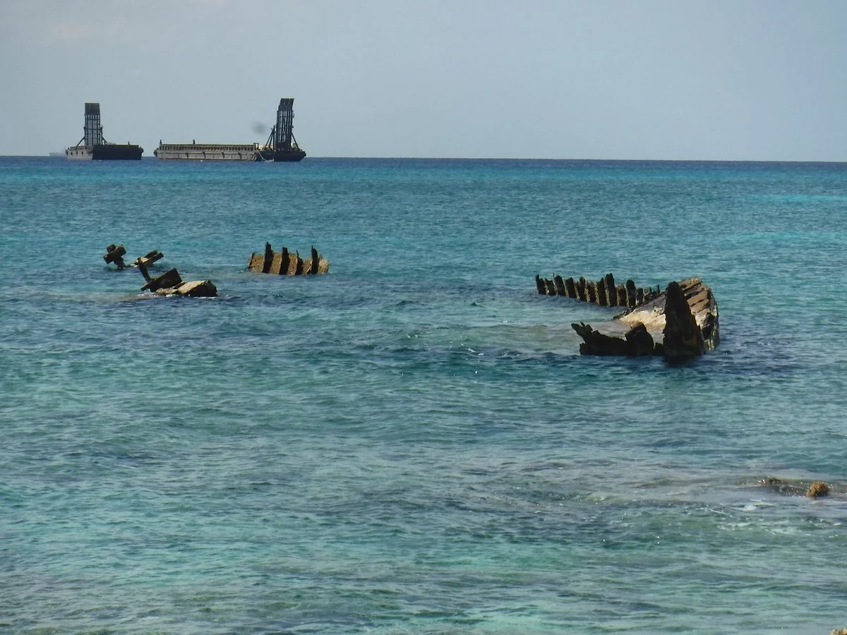 Pallas Wreck Reef