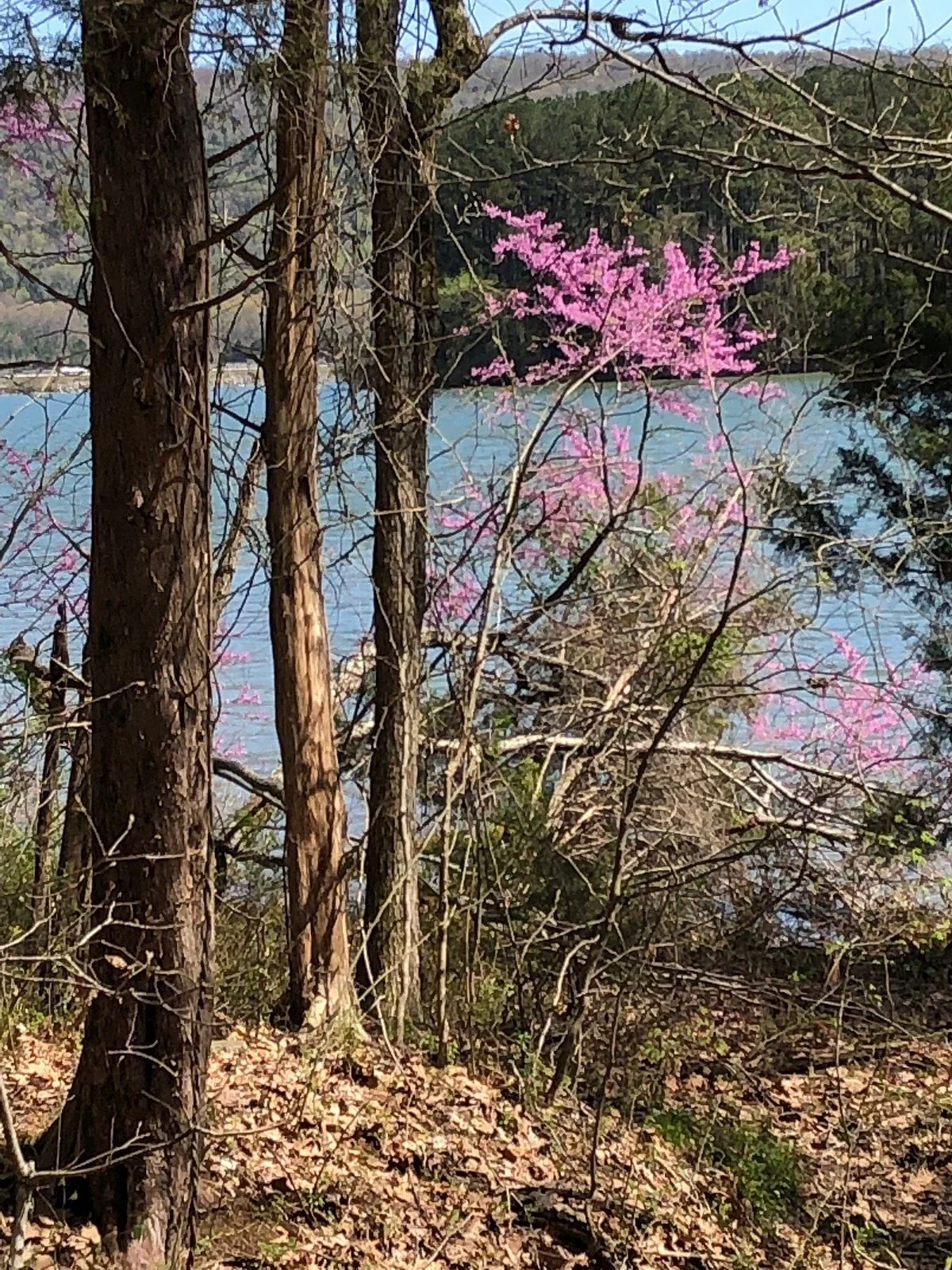 Little Cedar Mountain Trail