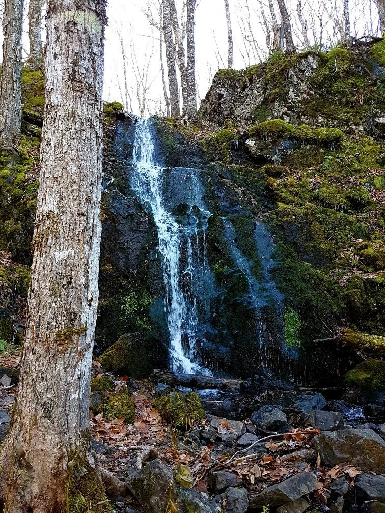 Rogart Mountain Trail