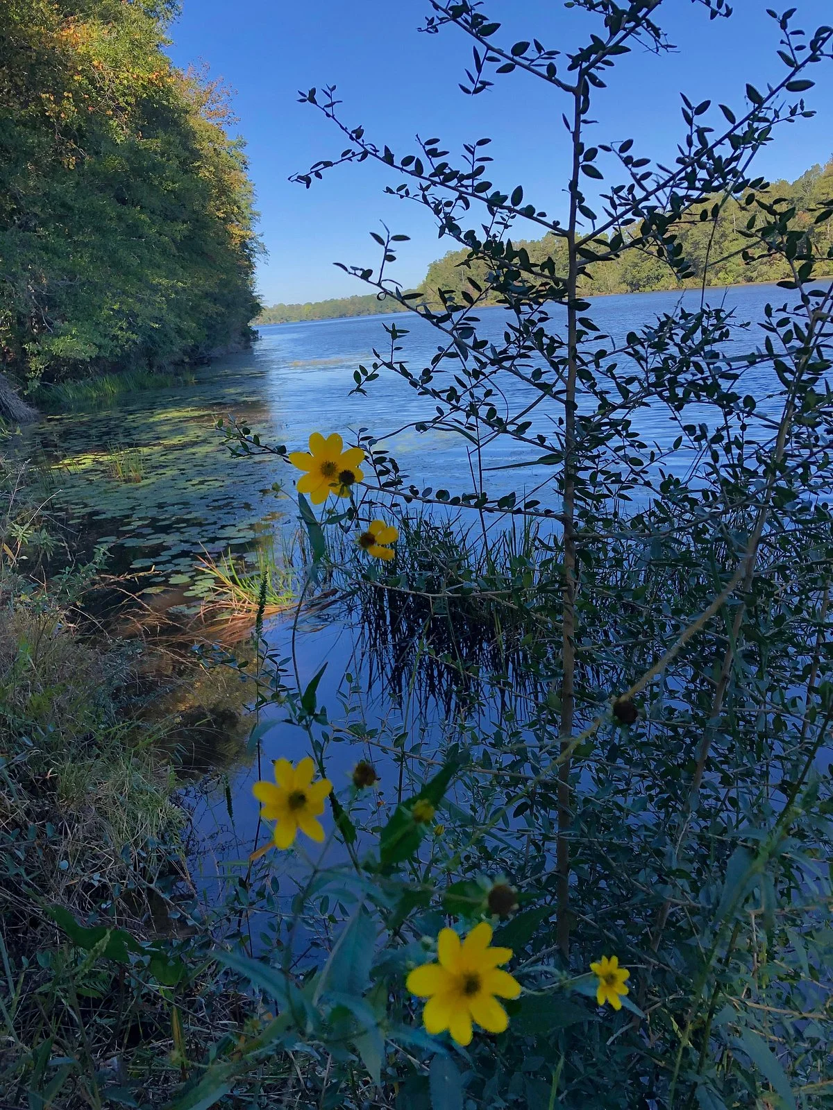 Frank Jackson State Park