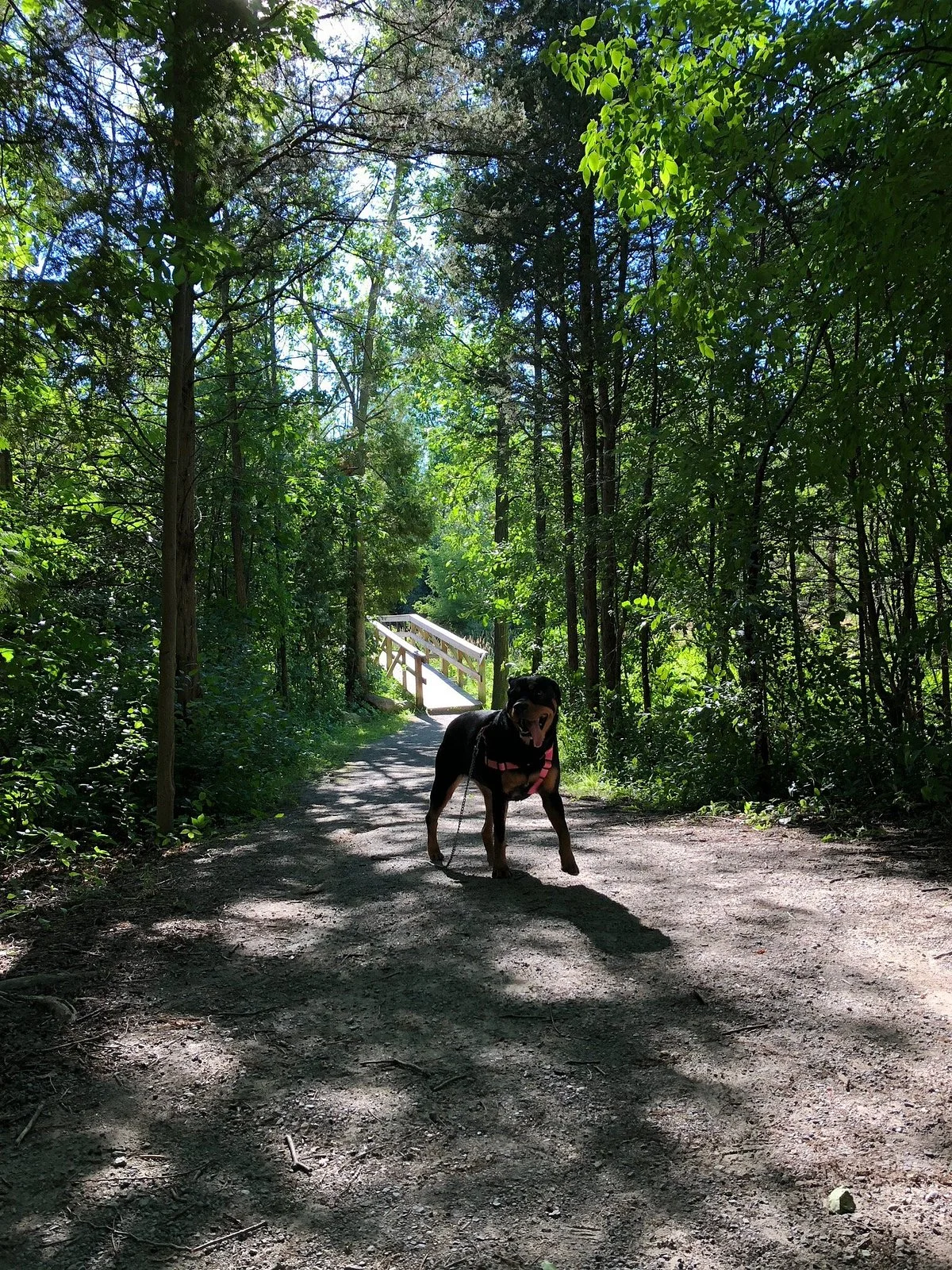 Bleasdell Boulder Conservation Area