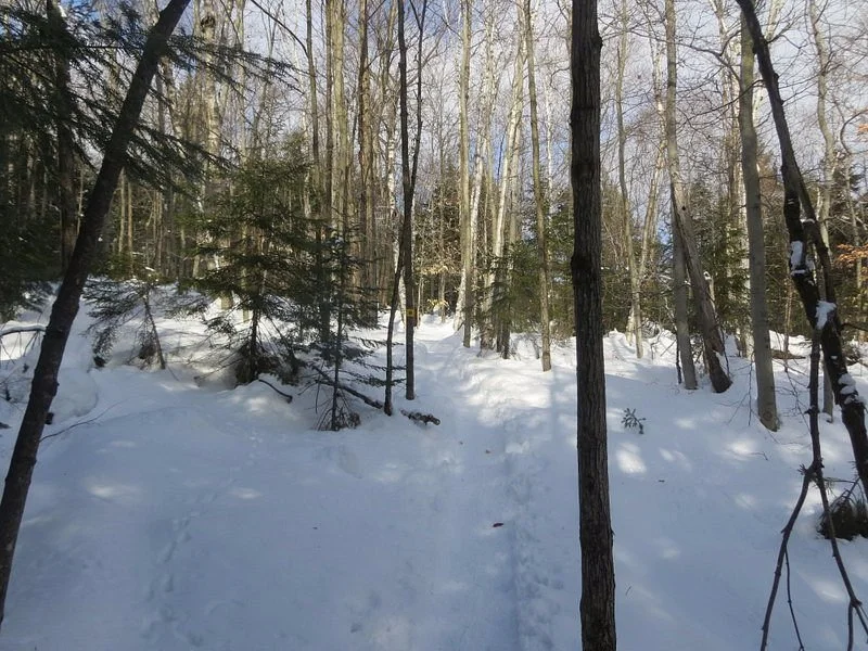 Vallée Rocanigan